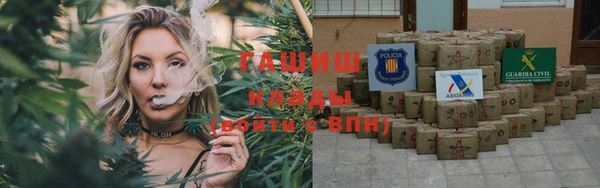 apvp Богородск