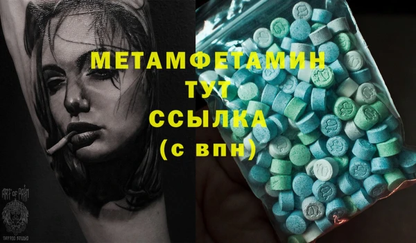 PSILOCYBIN Богданович