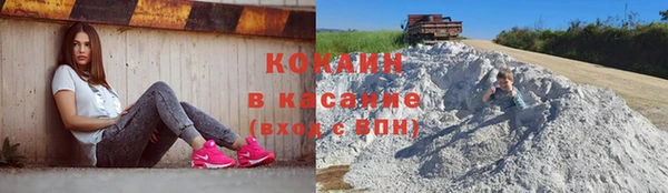 PSILOCYBIN Богданович