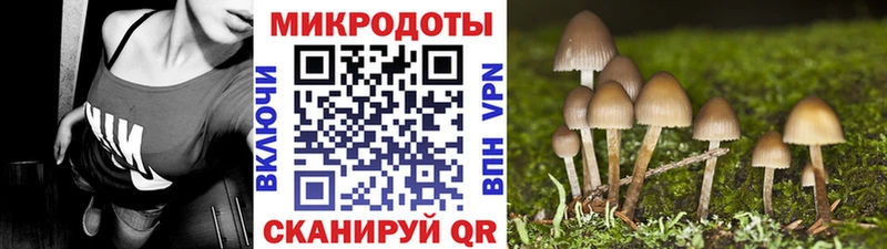 Псилоцибиновые грибы GOLDEN TEACHER Дигора